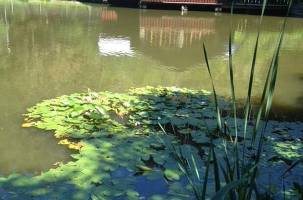 Altbauwohnung mit Balkon kaufen in 6071 Aldrans (Bild 2)