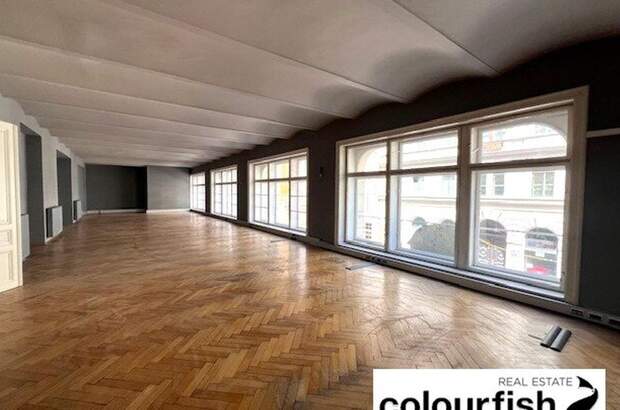 Gewerbeobjekt mieten in 1010 Wien (Bild 3)