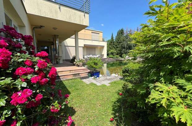 Haus kaufen in 4470 Enns (Bild 2)