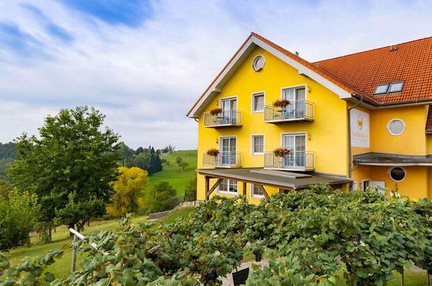 Gewerbeobjekt kaufen in 7574 Burgauberg (Bild 2)