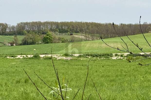 Grundstück kaufen in 7032 Sigleß (Bild 1)