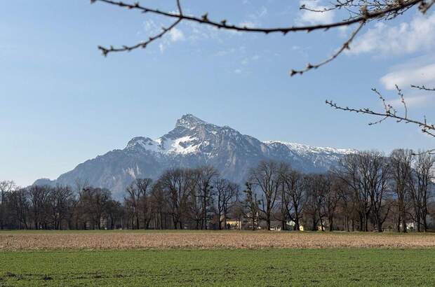 Grundstück kaufen in 5020 Salzburg (Bild 1)