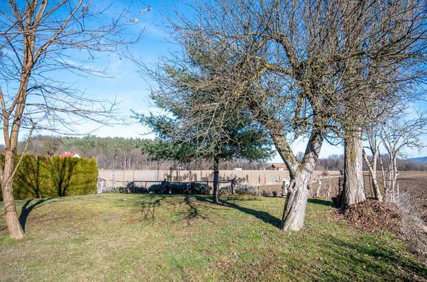 Haus mit Garten kaufen in 8544 Pölfing (Bild 5)