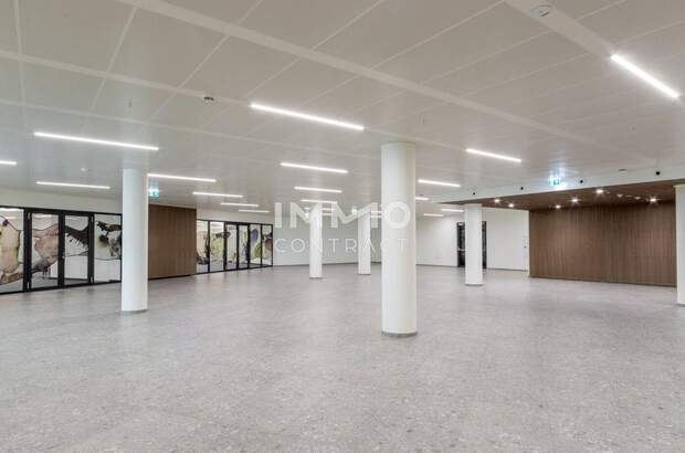 Gewerbeobjekt mieten in 1210 Wien (Bild 5)