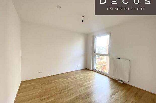 Terrassenwohnung mieten in 1230 Wien (Bild 3)