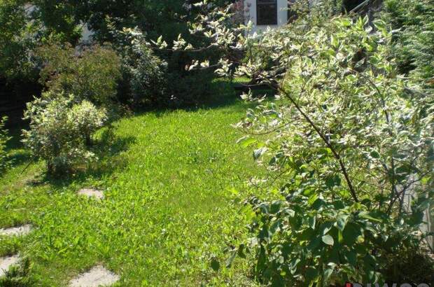 Terrassenwohnung mieten in 3400 Klosterneuburg (Bild 2)