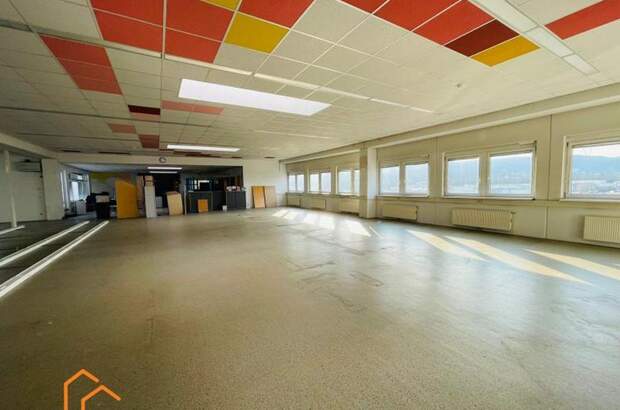 Gewerbeobjekt mieten in 2351 Wiener Neudorf (Bild 3)