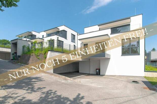 Terrassenwohnung kaufen in 4020 Linz (Bild 1)