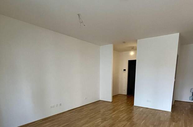 Wohnung kaufen in 1100 Wien (Bild 5)