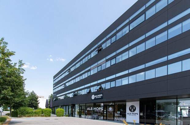 Gewerbeobjekt mieten in 4600 Wels (Bild 5)