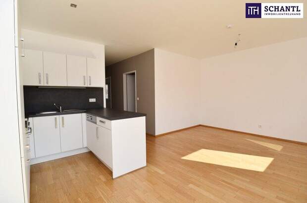 Terrassenwohnung mieten in 8020 Graz (Bild 3)