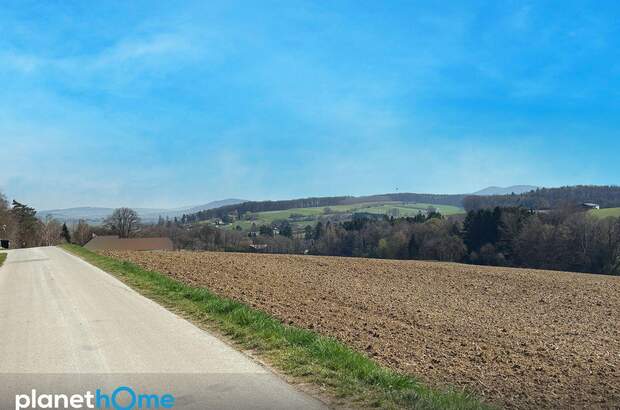 Grundstück kaufen in 3062 Kirchstetten (Bild 4)