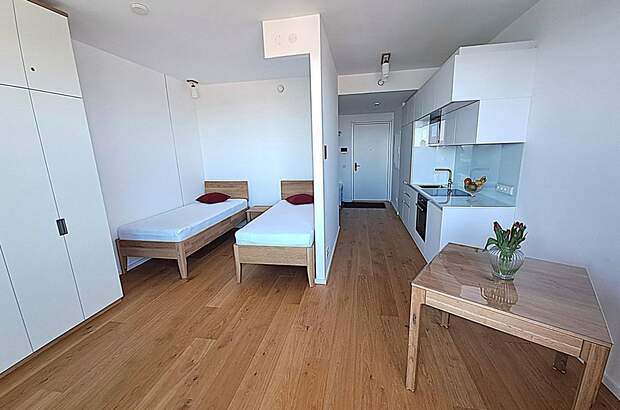 Terrassenwohnung mieten in 1220 Wien (Bild 2)