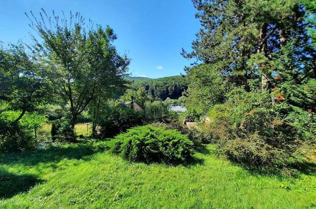 Einfamilienhaus kaufen in 3002 Purkersdorf (Bild 4)