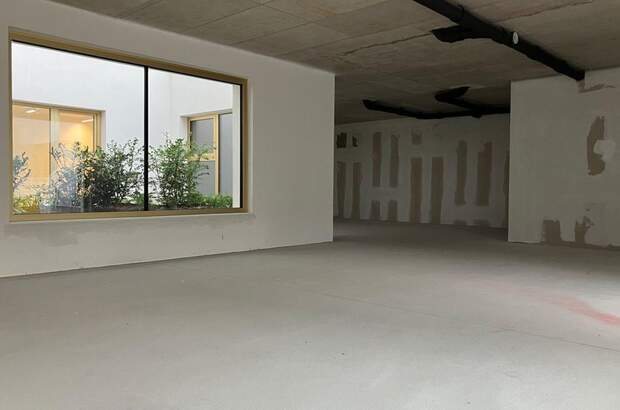 Gewerbeobjekt mieten in 1230 Wien (Bild 4)