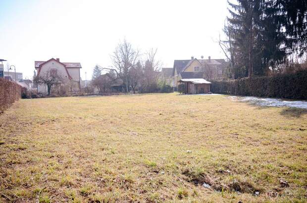 Grundstück kaufen in 8430 Leibnitz (Bild 3)