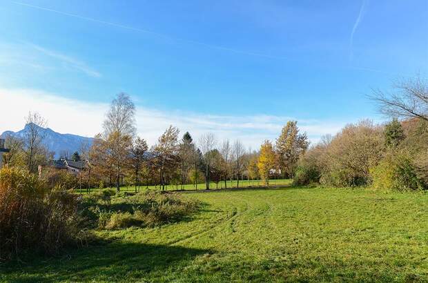 Grundstück kaufen in 5020 Salzburg (Bild 1)
