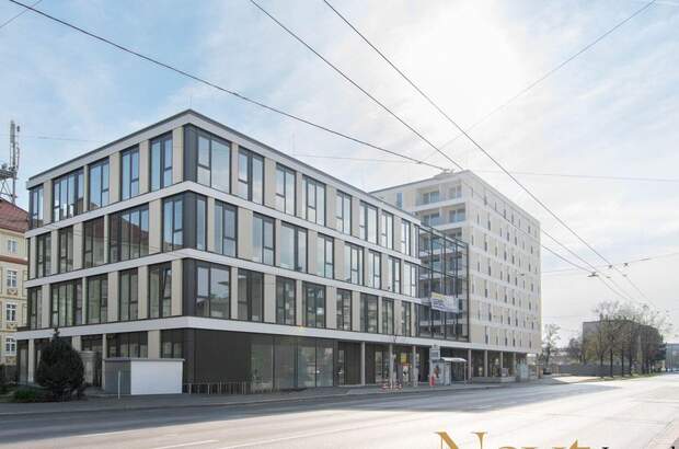 Gewerbeobjekt mieten in 4020 Linz (Bild 3)