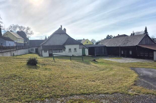 Grundstück kaufen in 3422 Altenberg