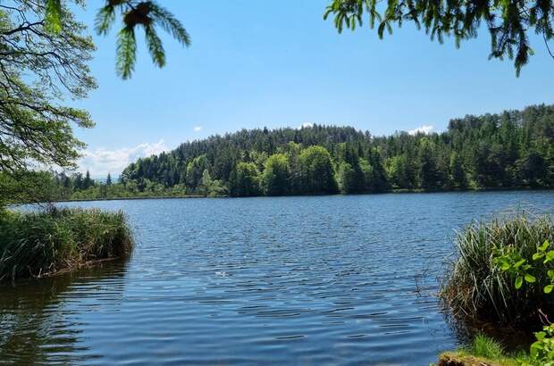 Einfamilienhaus kaufen in 9220 Velden (Bild 4)