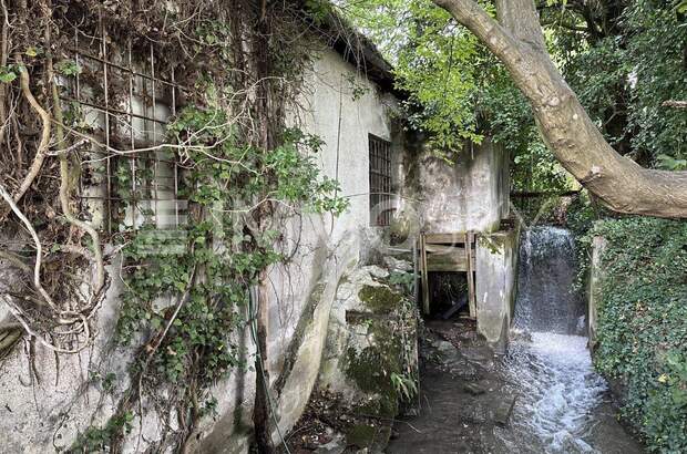 Grundstück kaufen in 6832 Sulz (Bild 4)