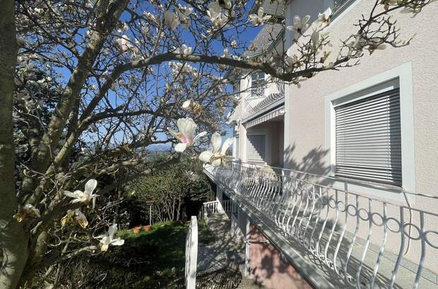 Haus kaufen in 8151 Hitzendorf (Bild 2)