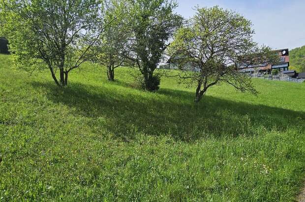 Grundstück kaufen in 8112 Gratwein (Bild 3)