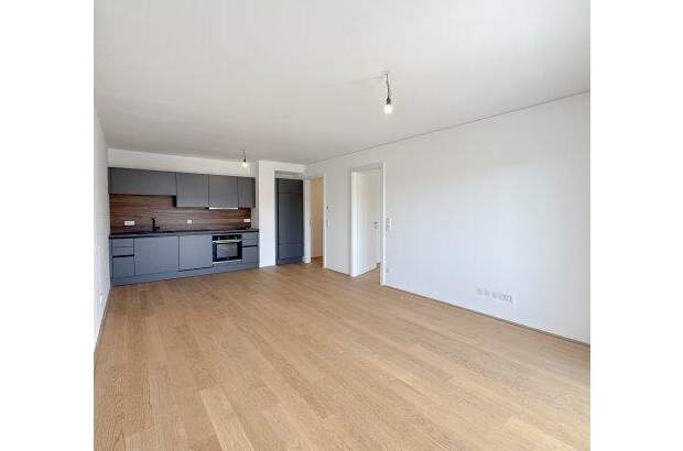 Terrassenwohnung kaufen in 1210 Wien (Bild 3)