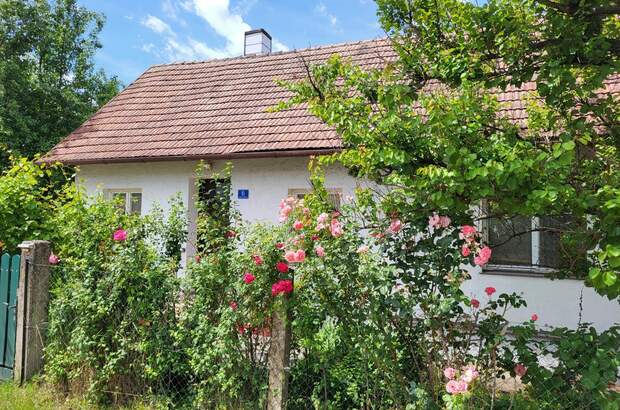 Einfamilienhaus kaufen in 3040 Neulengbach (Bild 4)