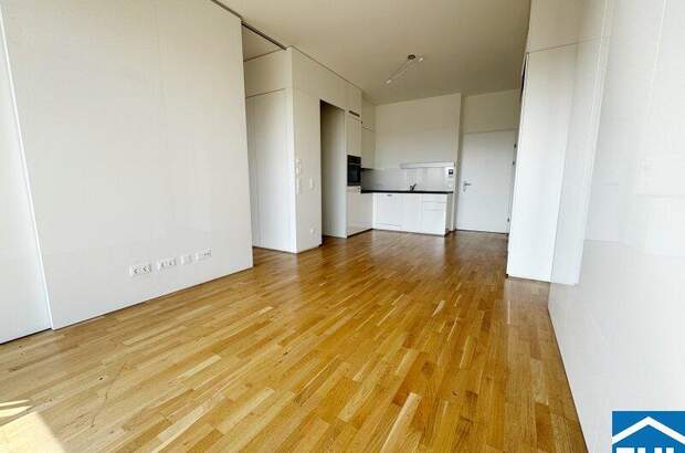 Terrassenwohnung mieten in 1030 Wien (Bild 1)