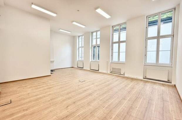 Gewerbeobjekt mieten in 1070 Wien (Bild 3)