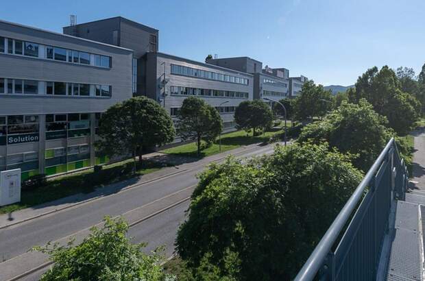 Gewerbeobjekt mieten in 2345 Brunn (Bild 1)