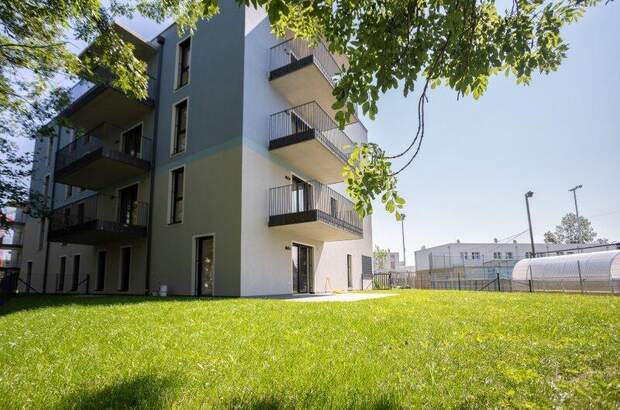 Terrassenwohnung kaufen in 2700 Wr. Neustadt (Bild 1)