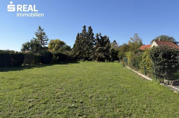 Grundstück kaufen in 2473 Potzneusiedl (Bild 1)