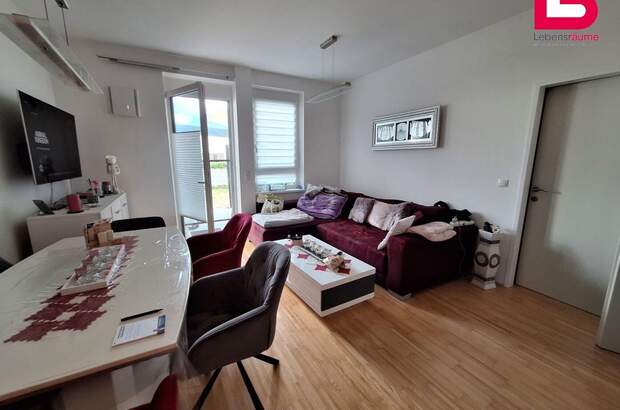 Wohnung mieten in 4560 Kirchdorf (Bild 4)
