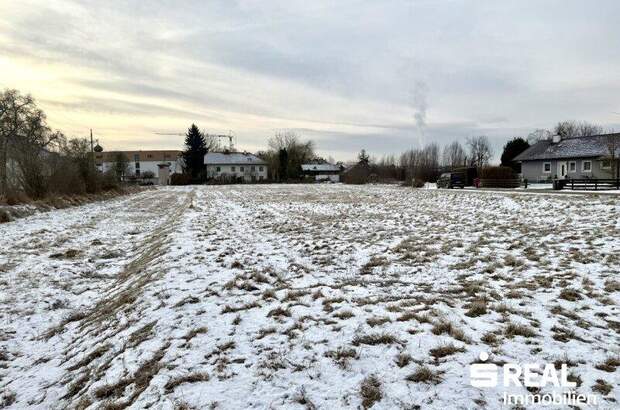 Grundstück kaufen in 4070 Pupping (Bild 1)