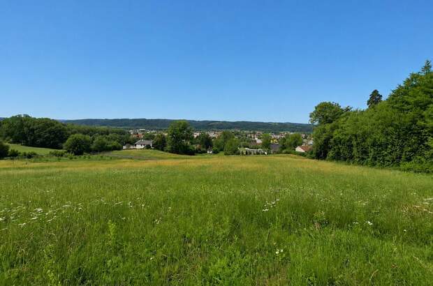 Grundstück kaufen in 8200 Gleisdorf (Bild 4)