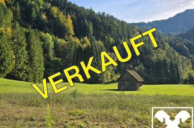 Grundstück kaufen in 9135 Ebriach (Bild 1)