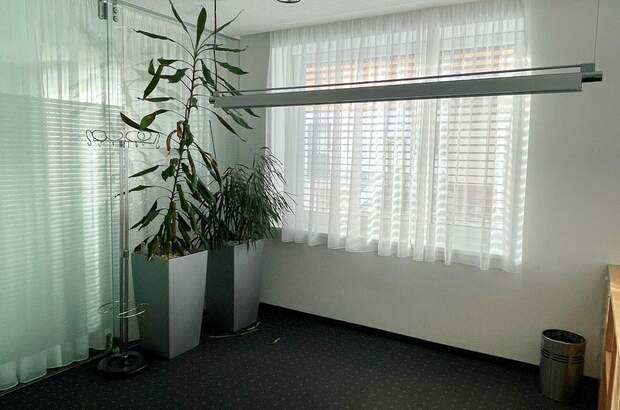 Gewerbeobjekt mieten in 4175 Neußerling (Bild 3)