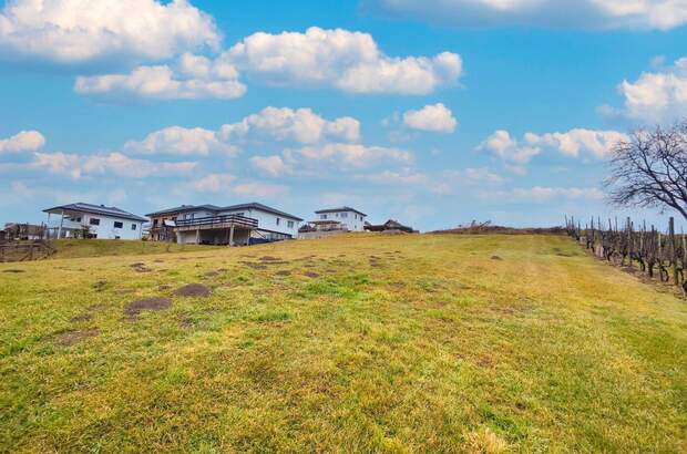 Grundstück kaufen in 8311 Markt Hartmannsdorf (Bild 4)