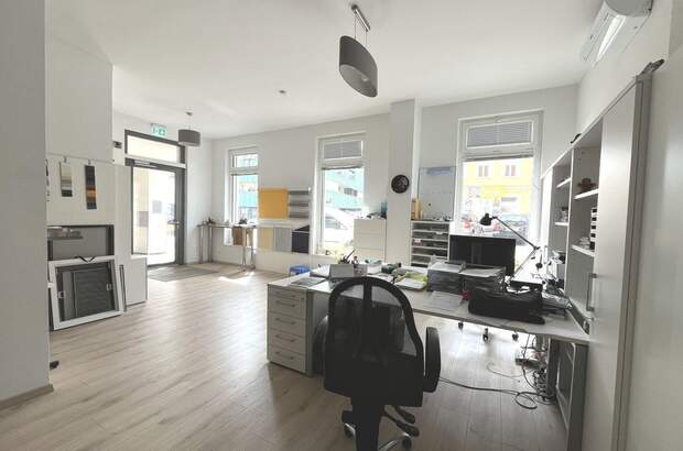 Gewerbeobjekt kaufen in 2345 Brunn (Bild 3)