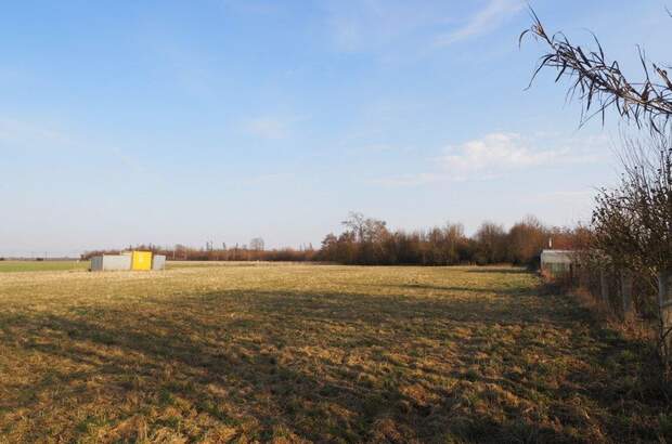 Grundstück kaufen in 4064 Oftering (Bild 2)