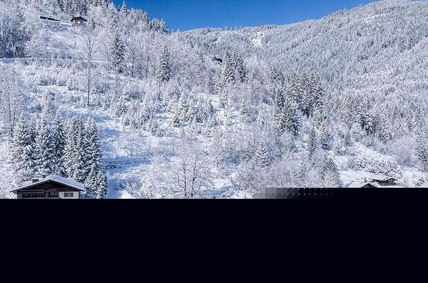 Haus kaufen in 5721 Piesendorf (Bild 3)