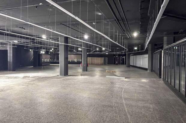 Gewerbeobjekt kaufen in 4600 Wels (Bild 3)