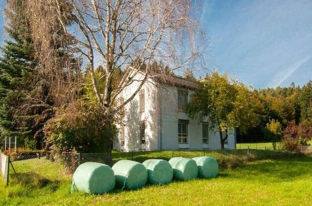 Gewerbeobjekt mieten in 9150 Bleiburg (Bild 3)