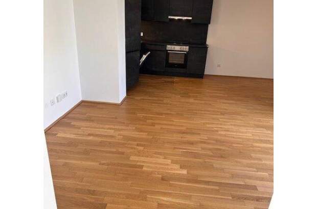 Terrassenwohnung mieten in 1220 Wien (Bild 2)