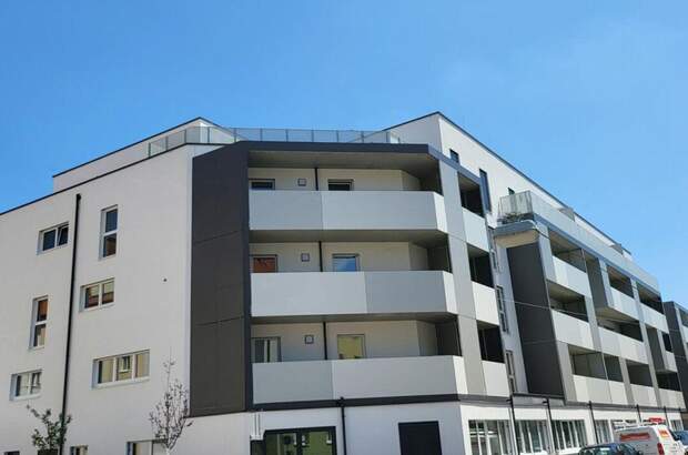 Immobilie mieten in 3100 St. Pölten (Bild 2)