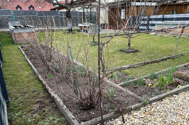 Altbauwohnung kaufen in 8661 Sankt Barbara (Bild 3)