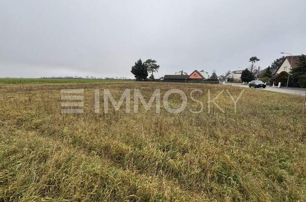 Grundstück kaufen in 2201 Kapellerfeld (Bild 4)