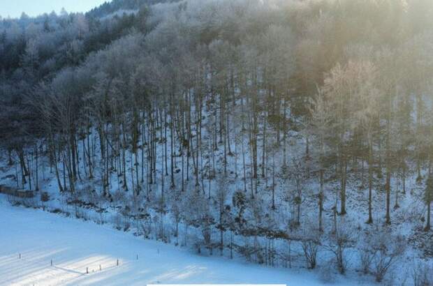 Grundstück kaufen in 4645 Grünau (Bild 2)